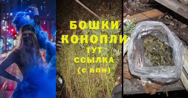 прущий лед Дмитриев