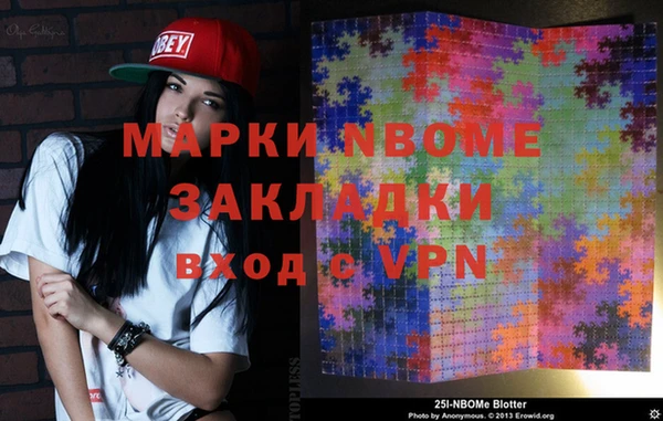 шишки Горно-Алтайск