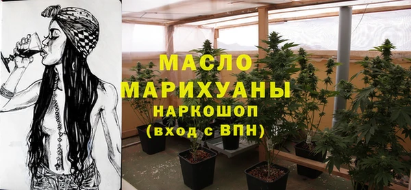 прущий лед Дмитриев