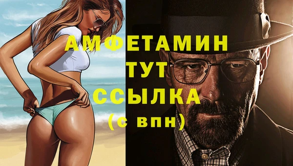 соль ск Дмитров