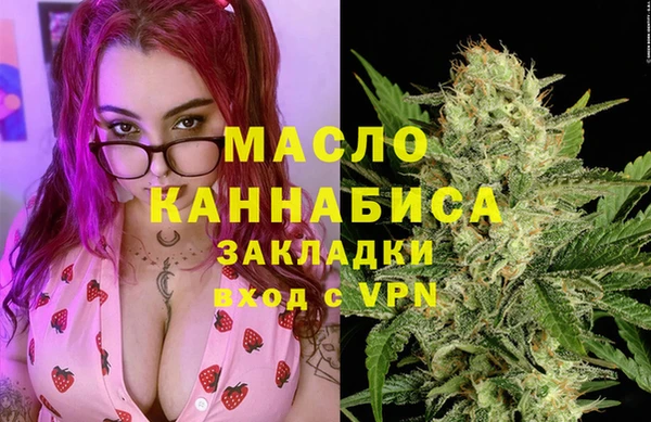 прущий лед Дмитриев