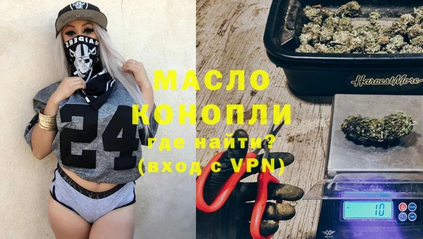 прущий лед Дмитриев