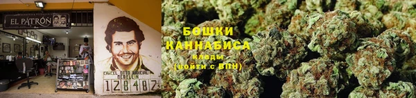 прущий лед Дмитриев